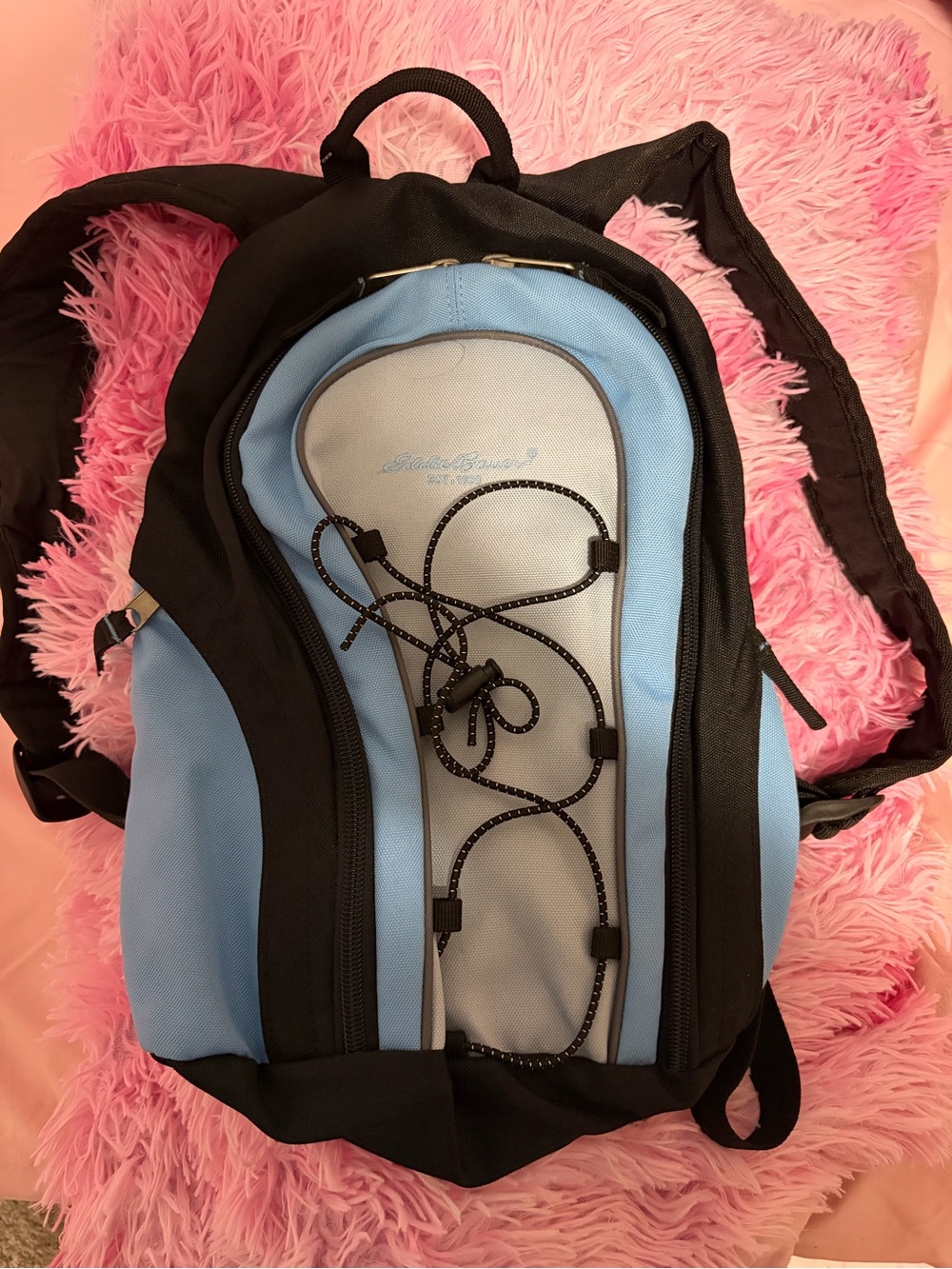 Eddie Bauer Light Blue and Black Casual Backpack
